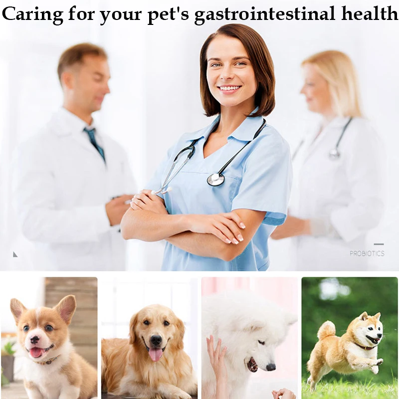 PET Nutrition Probiotics Enhance Physical Fitness Protect Stomach Health Powder Food for Dogs and Cats 10 Bags/Box