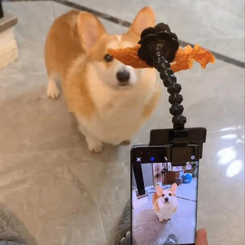 고양이 개 셀카봉, 반려동물 인공물, 360 도 회전, 휴대용 반려동물 상호작용 장난감, 반려동물 카메라, 휴대폰 클립 그랩 스틱
