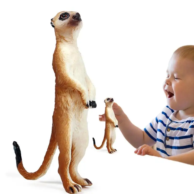 

Mini Wild Life Model Miniature Mongoose Animal Figurines For Bedroom Simulation Mongoose Figurine Miniature Desert Animal