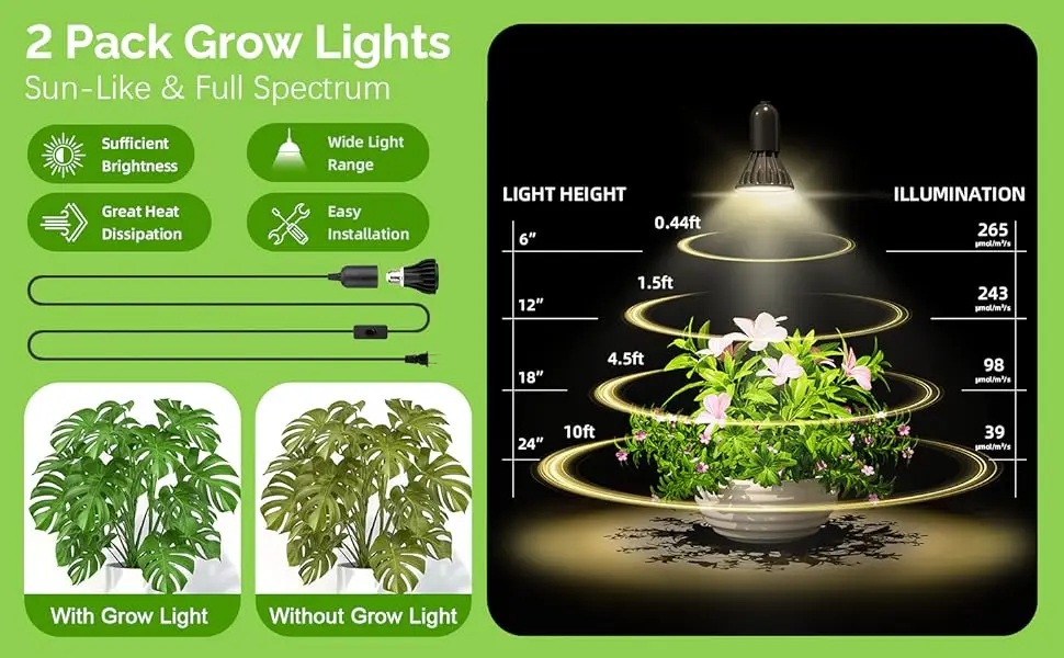 plant stand