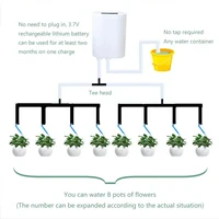 Automatic Watering Pump Controller Intelligent Flowers Plants Sprinkler Drip Irrigation Device Pump Timer System Garden Tools 4