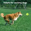 6 PCS Tennis Launcher Special 5cm Ball DogElastic Professional Tennis Throw MachinePortable Toy Only The Ball No Machine 6