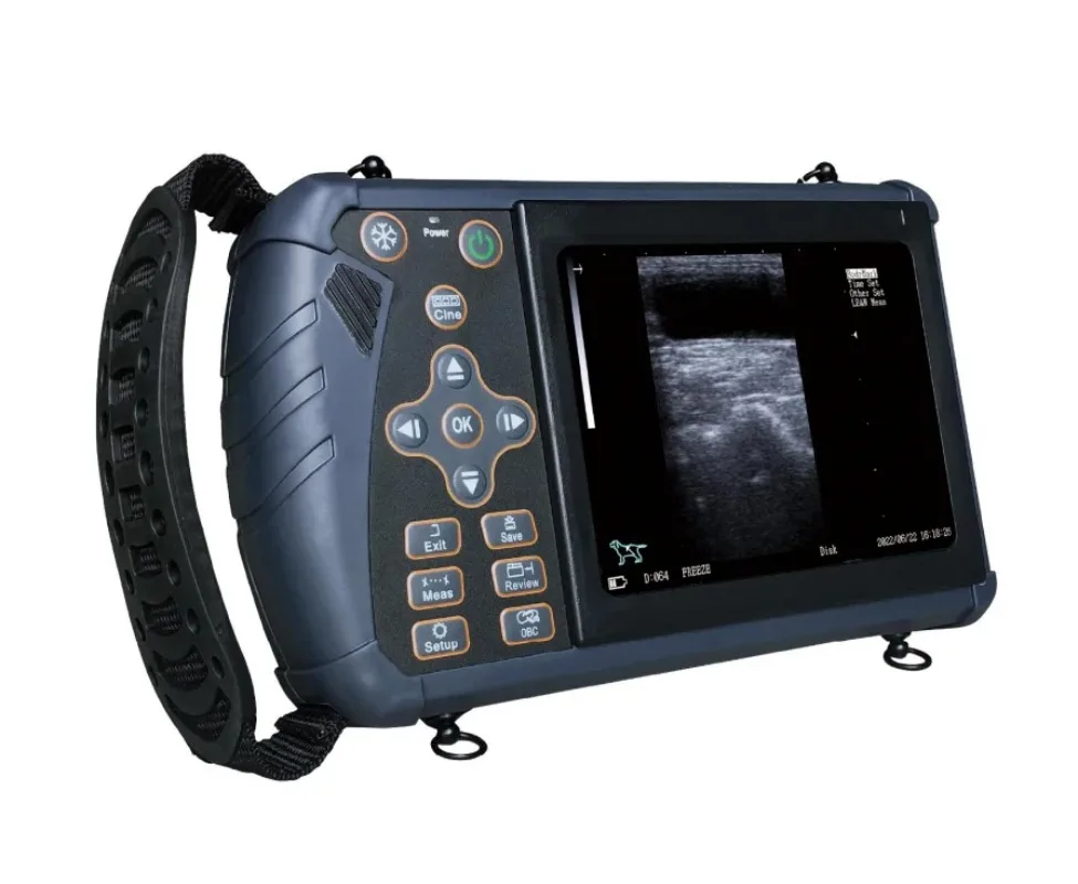 

Veterinary Portable Digital Pet Ultrasound Color Scanner For Animal