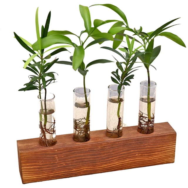 4 Test Tube