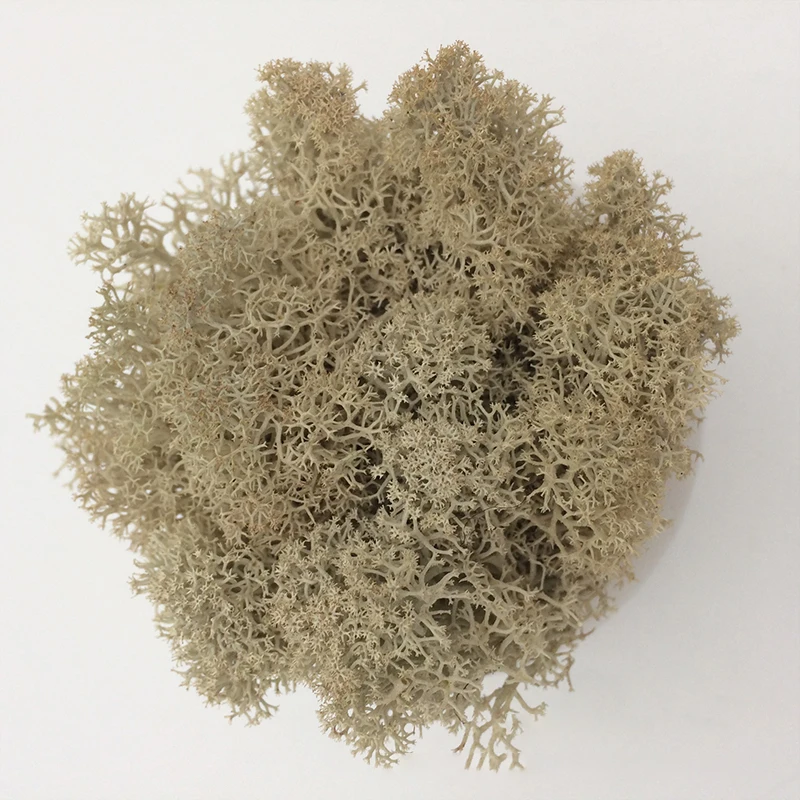 Affordable Artificial Moss Grass for DIY Crafts and Home Decor