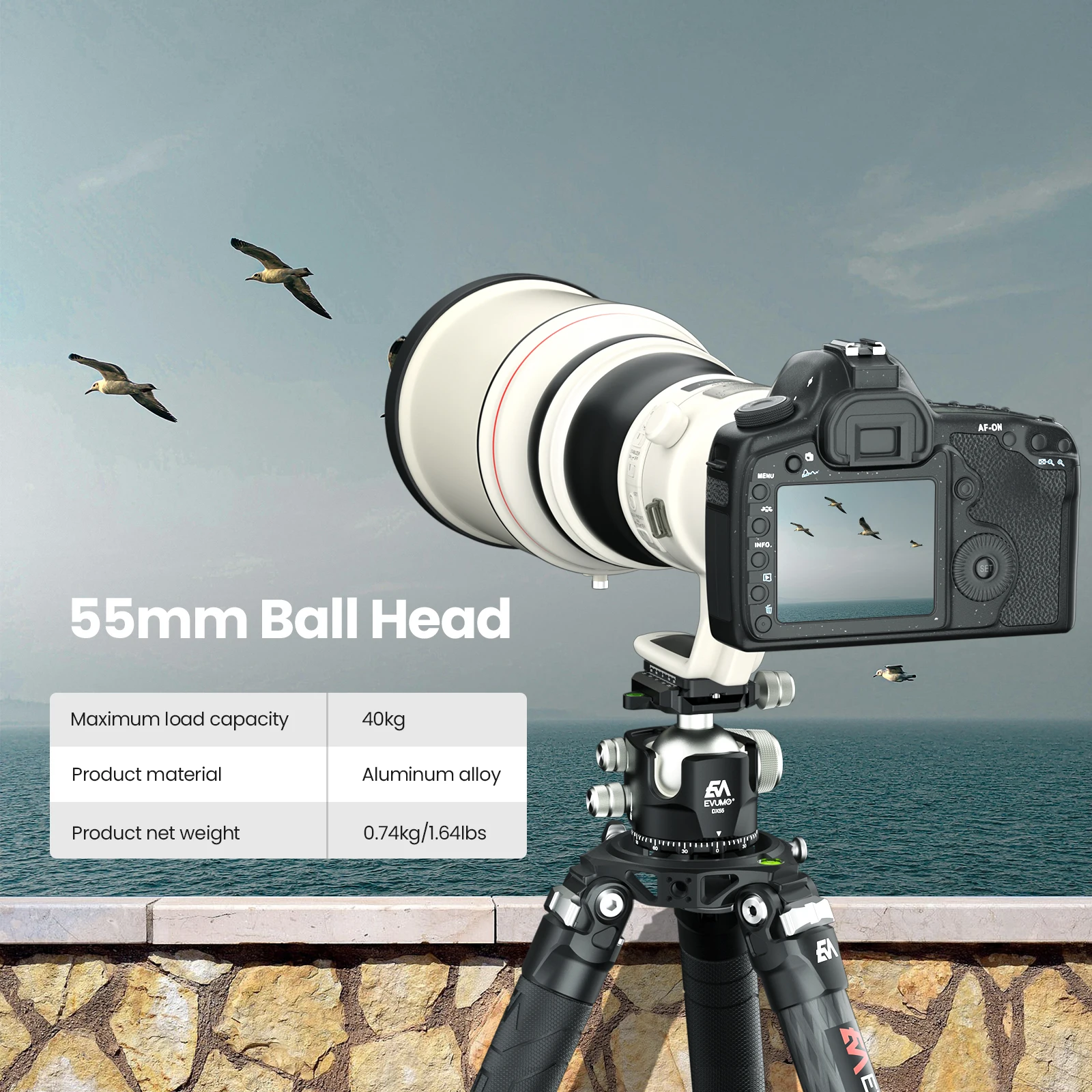 EVUMO DX55 55mm Ball Head for Panoramic Video, tripod ball head,camera panoramic head