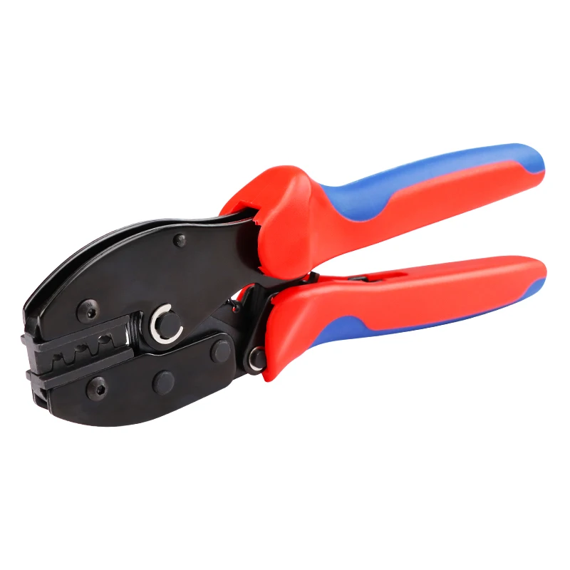 Se901910123814c27865d92f3d78f7