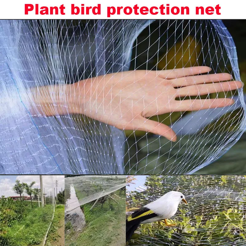 https://ae01.alicdn.com/kf/Se902e875a1e0470f8a42bd73be96e159t/Strengthen-transparent-orchards-bird-nets-agricultural-fences-horticultural-nets-fish-ponds-bird-nets-anti-defoliation-gar.jpg
