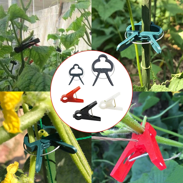 2 db Kerti Növényi Klip Paradicsom Tartó Szőlő Szőlőültetési Köteg Bambusz Halom Mászó Növény - Image 3