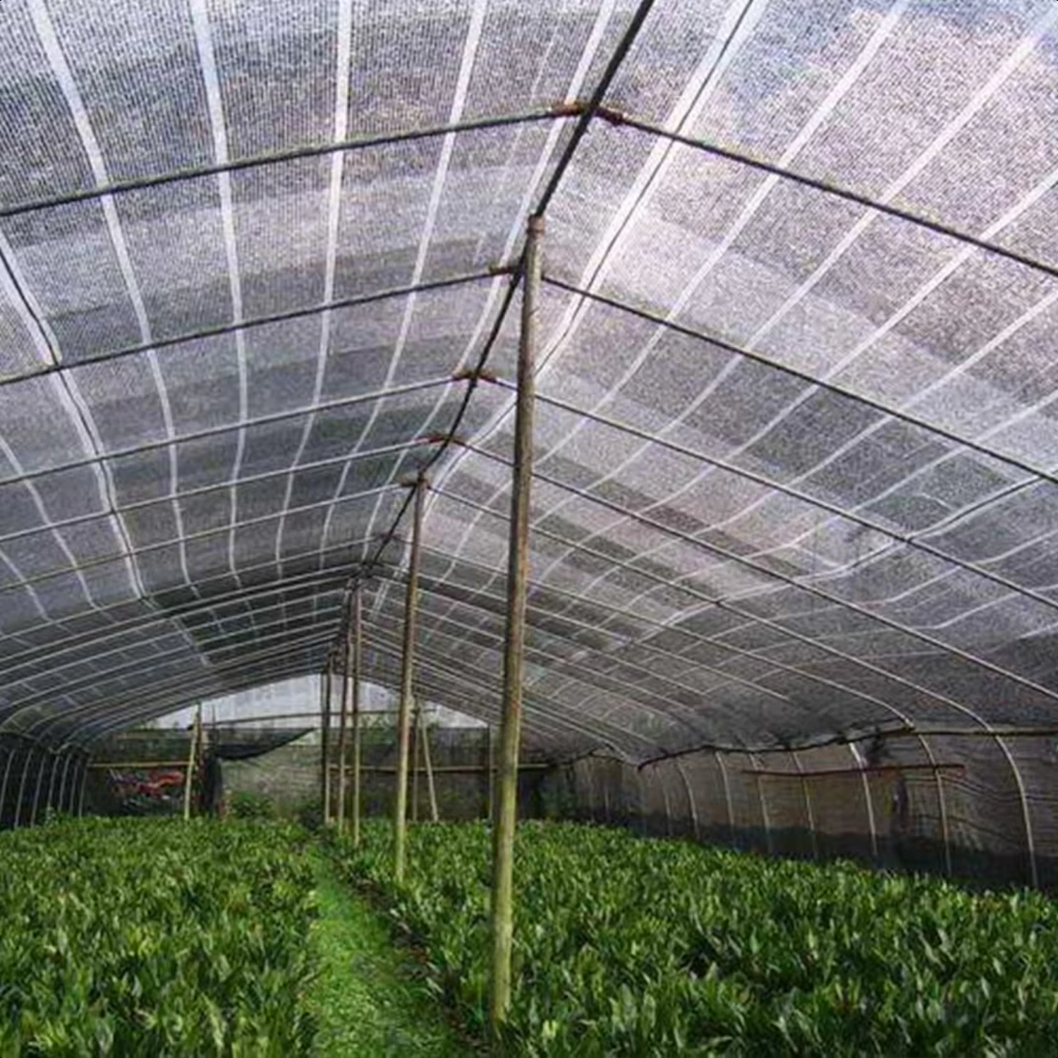 10 ft. x 10 ft. 40% Cut Edge Plant Cover Greenhouse, Barn, Kennel, Pool, Pergola or Carport with Free clips