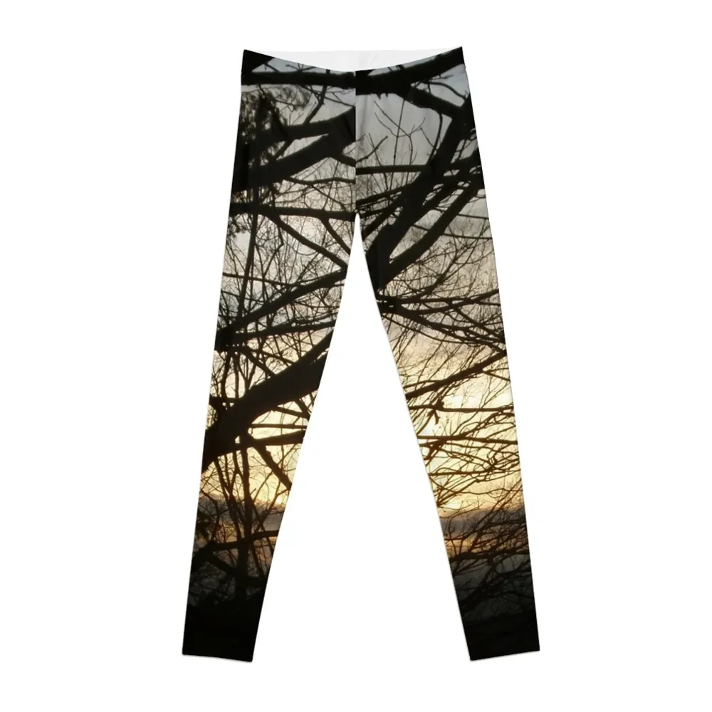 

Branches at Sunset Leggings sport pants Legging sexy woman Womens Leggings