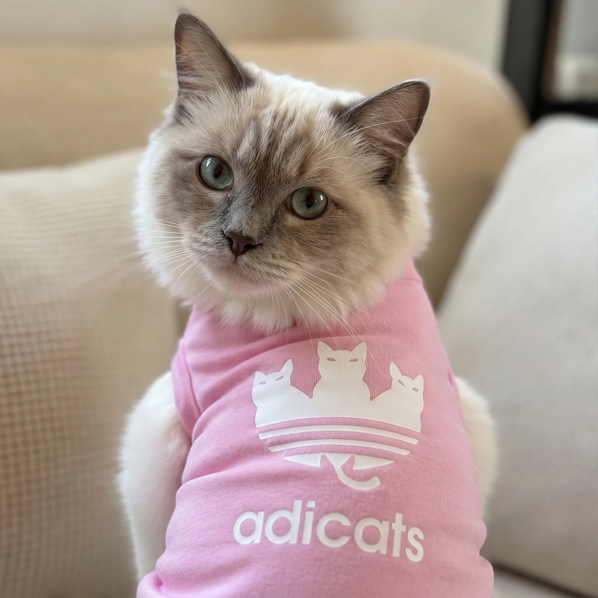 Adicats 핑크 고양이 옷 봄 여름 가을 소형 중형 대형 인기 민소매 재미있는..
