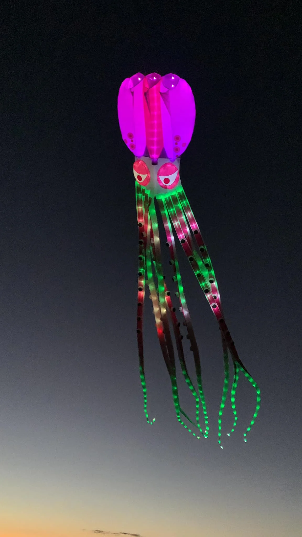 Super high brightness LED lights for big triangle delta soft inflatable kite night flying octopus trilobites ray string lines 5