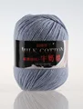 A 26 light gray