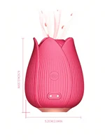 10-Vibrations-Saugvibrator, Punktstimulator, stimulierendes Saugen, Klitoris-Massagegerät, wiederaufladbares Sexspielzeug für Erwachsene für Frauen, Paare 6