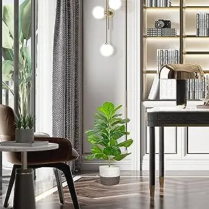 fiddle leaf fig tree