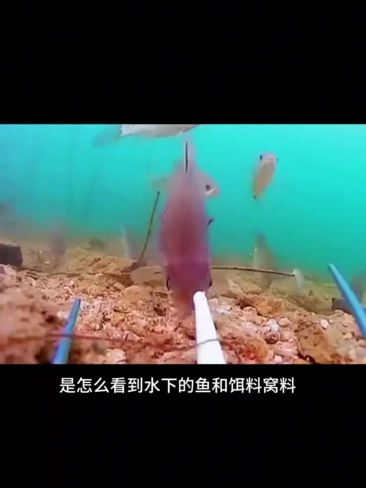 20/30M LCD 4.3 /5.0 인치 방수 IPS 어군 탐지기 HD 스크린 나이트 비전 뷰 디스플레이 수중 180 °   낚시 카메라 탐지기
