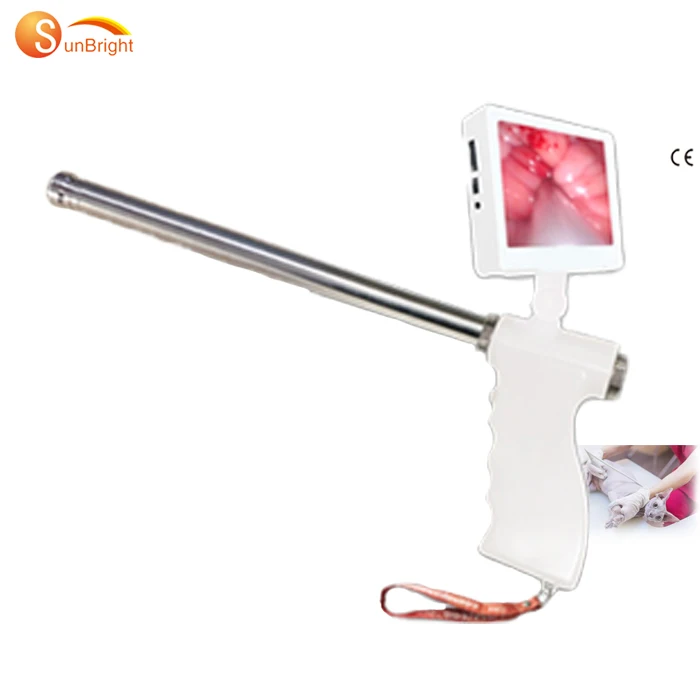 

Veterinary Visible Artificial Insemination Gun Instrument Fixed-screen Insemination gun for Cows