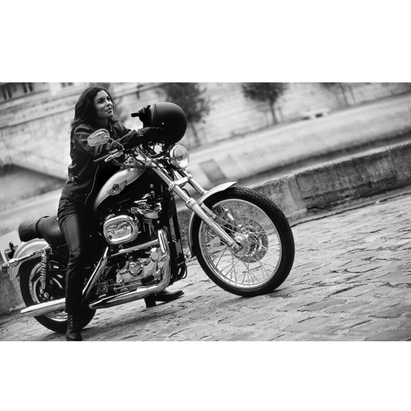  ̵ ̷, ε ŷ  XL1200L XL883 XL883L Sportster , 8mm  ̷