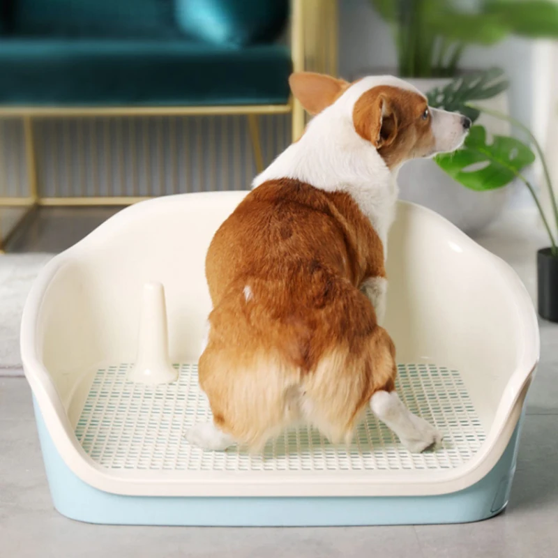 

Scoopers Collector Dog Toilet Cleaning Pouch Grooming Dog Potty Tray Poop Litter Box Piscine Pour Chien Pet Products CY50DT