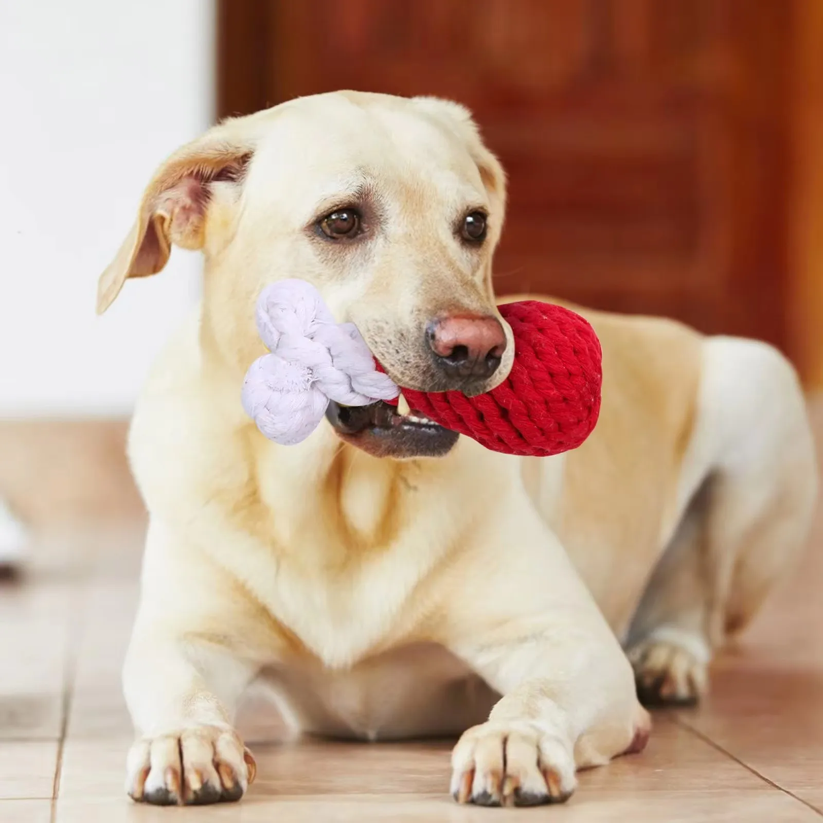 Our Braided Animal Toy for Dog Chewers