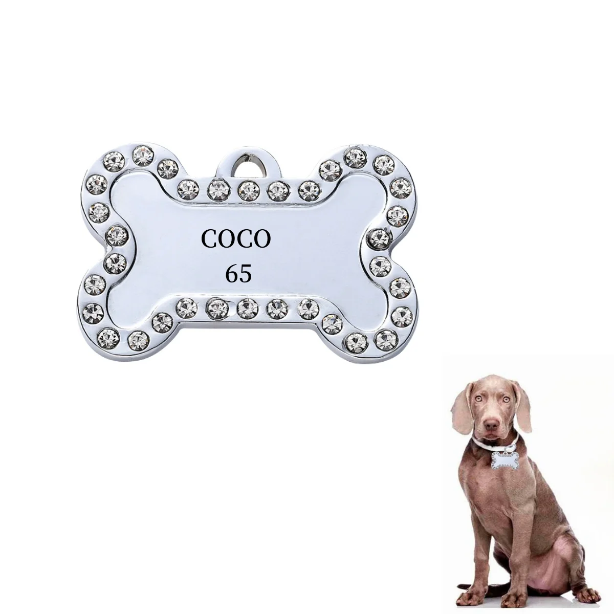Dog  6 5 C M