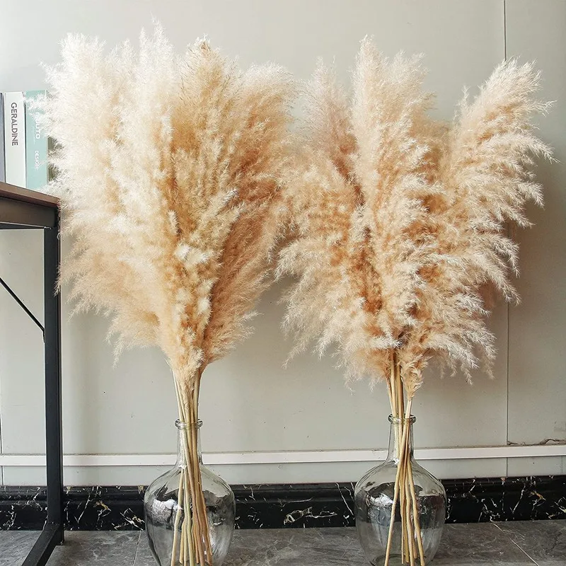 

80-120cm Natural Dried Flower Reed Pampas Grass Boho Home Decor Wedding Decorations Farm Pampas Decoration Wedding Mariage
