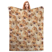 Pomeranian Blanket Pet Dog Picnic Flannel Throw Blanket Soft Durable Bedroom Design Bedspread Birthday Present 1
