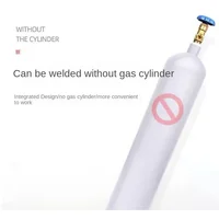 220V Gas welding carbon dioxide gas protection welding machine one machine small second welding machine household gasless 2