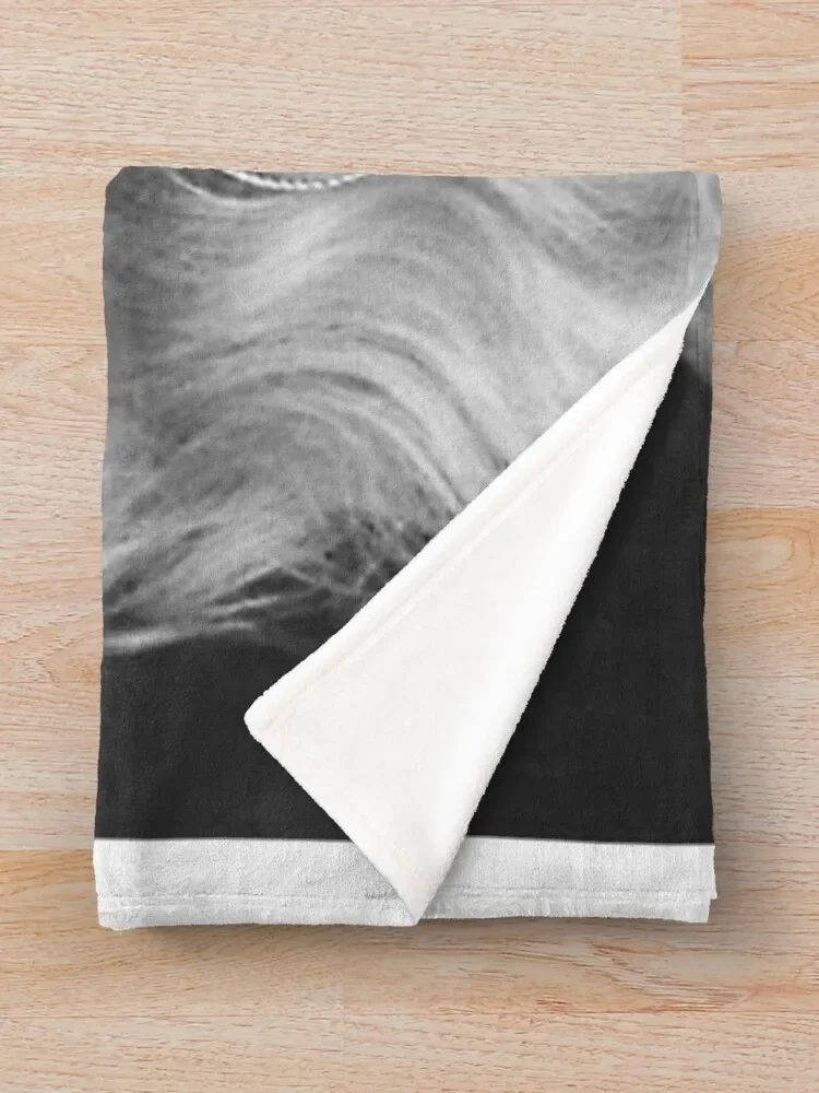 Dolly Parton ���� ������ ���, ħ�� ����, ���� ħ�� ���