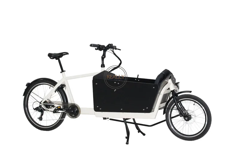 Triciclo Elettrico Per Adulti 250W Mozzo Posteriore Motore Assistito 2 Ruote Famiglia Cargo Bike Shopping Bike