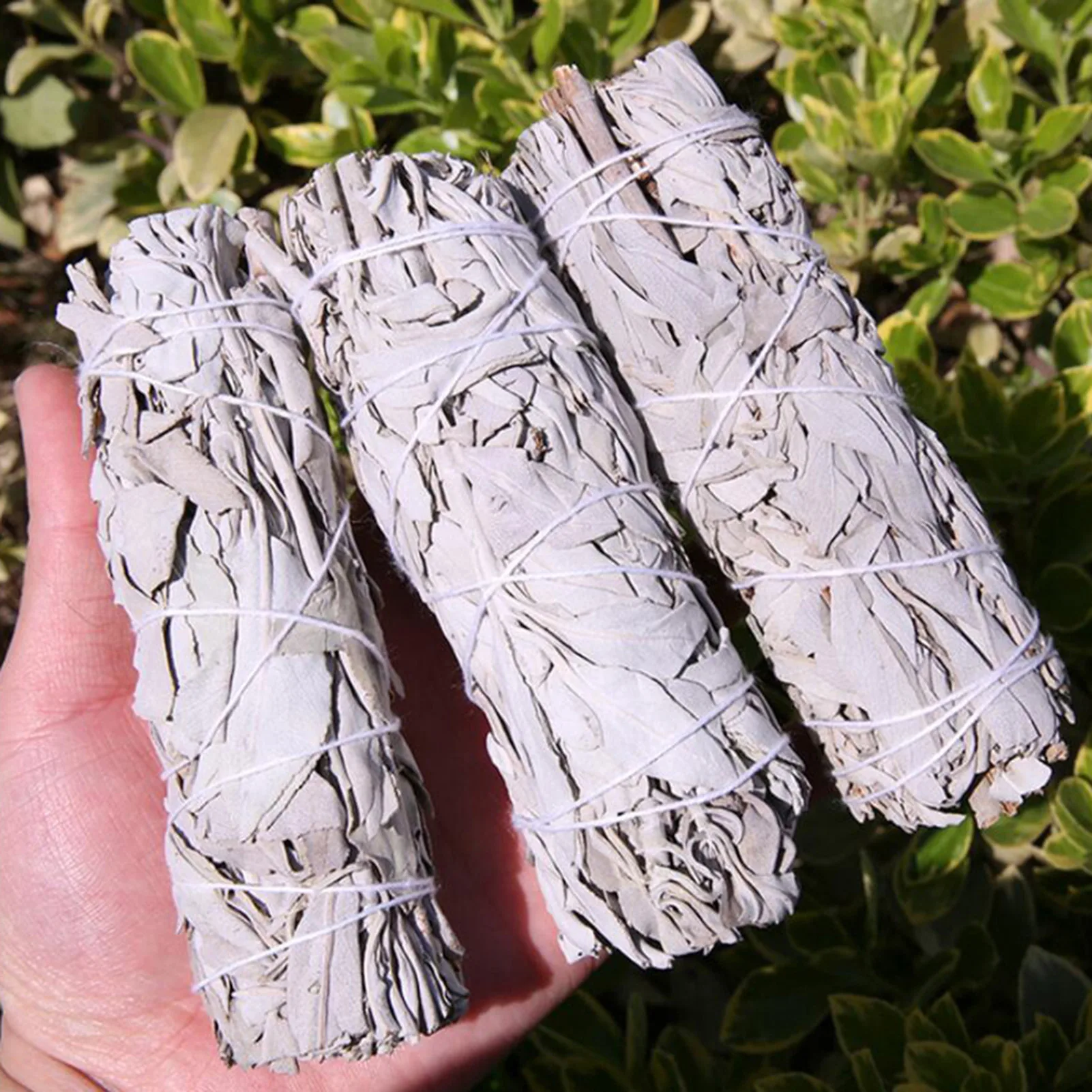 White Sage Bundle 3Pcs 9Cm California Smudge Stick Bacchetta Per Incenso Spirituale Stick Burning Aromaterapia Energy