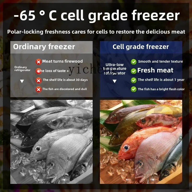 ZK ultra-low temperature refrigerator minus 80 degrees fishing boat seafood freezer household large horizontal freezer