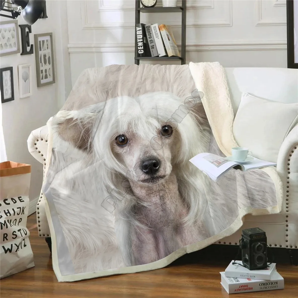 ħ�� Ȩ ������ 3D �μ� �� �θ��� ���� ���, �߱��� ���� �ƴ��� �����̾� ���