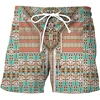 New Summer 3D Digital Printed Beach Pants Loose Casual Drawstring Shorts For Men Clothes Quick-dry Cool Ice Shorts Homme Trunks 5