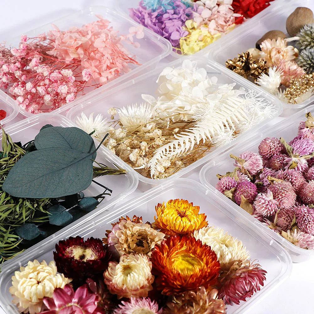 Colorful Natural Dried Flowers Epoxy Resin Mold Filler for DIY