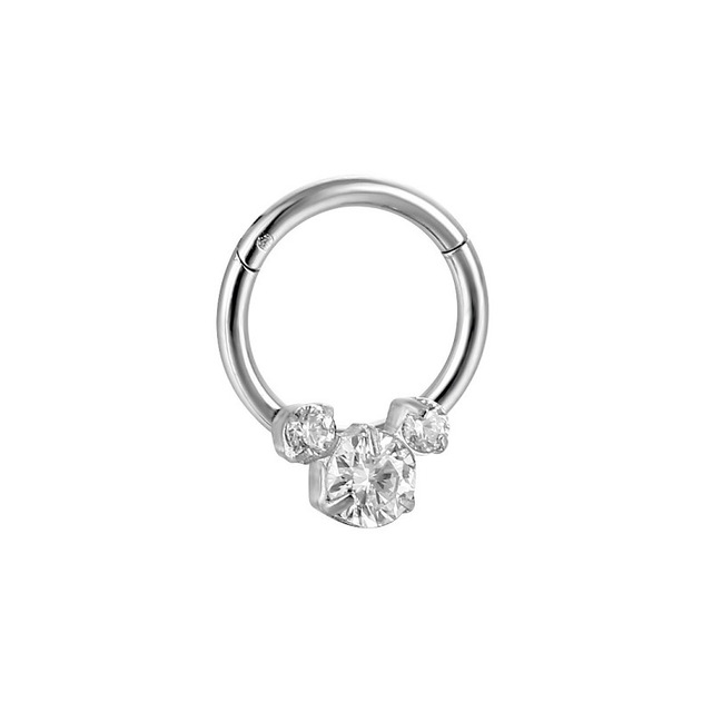 Nose Piercing Ring Hinged Segment Zircon Septum Piercing Clicker Opal Ear Cartilage Tragus Helix Lip Nariz Pircing Cuff Goth