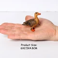 Duck -2