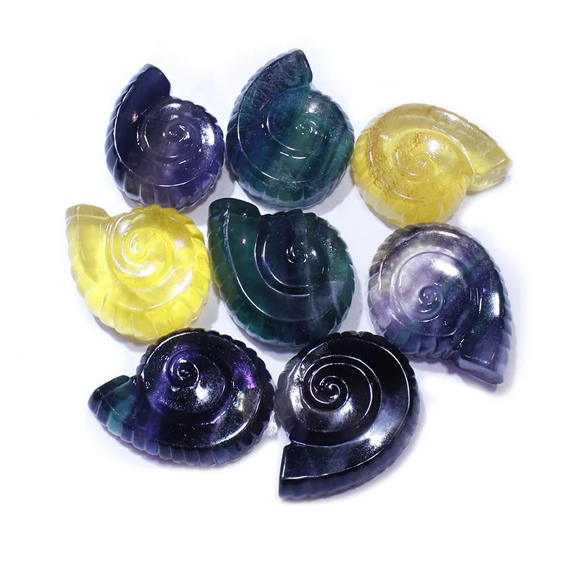 1 Pz Naturale Arcobaleno Fluorite Cristallo Ammonite Fossile Artigianale