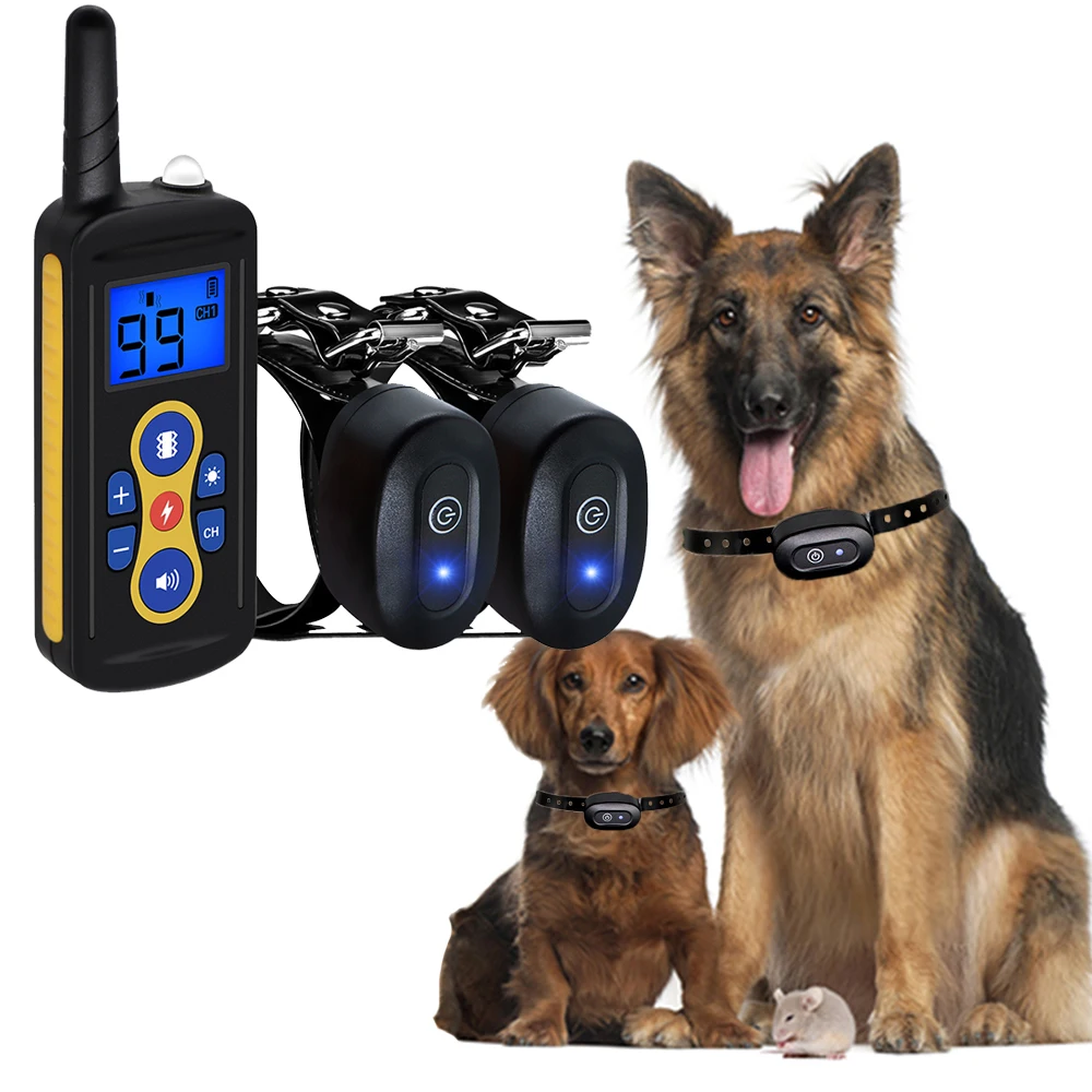 What Age Can You Use Shock Collars On Dogs