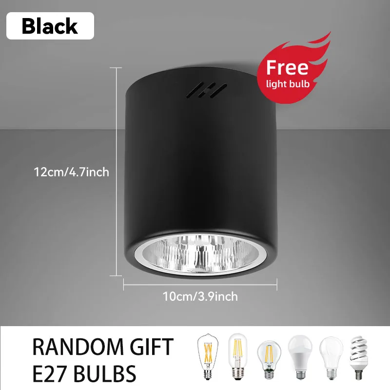 Type A Black 220V