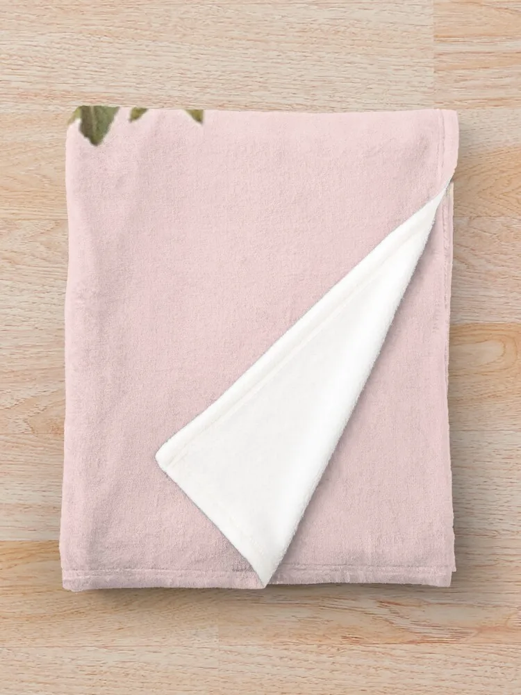  õ�� ������ ��� �ʴ��� ���� ���, ����Ŷ