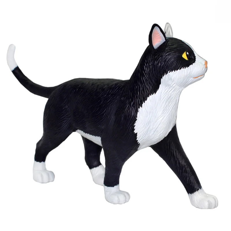新品 4Dビジョン 三毛猫 解剖モデル VISION Calico Cat Amazon.co.jp: スカイネット 立体パズル 4D VISION 動物解剖 No