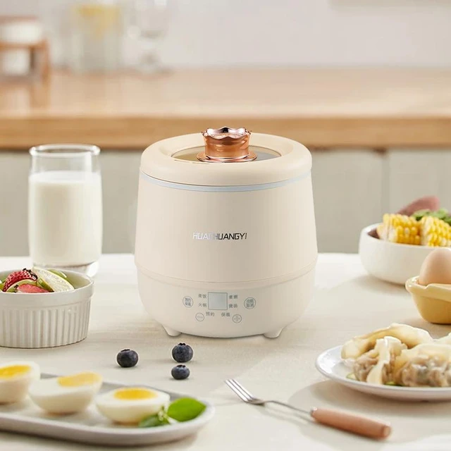 Mini Rice Cooker with Keep Warm 