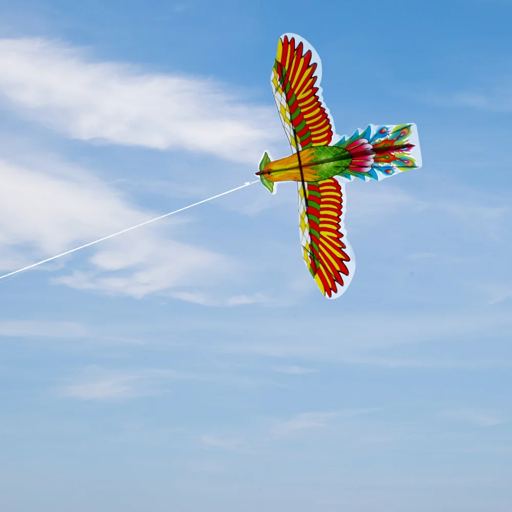 https://ae01.alicdn.com/kf/Se92bbcfcebea486dac54dc304a45e40aL/Fishing-Rod-Kite-Flying-Bird-Simulation-Flying-Bird-Flat-Eagle-Swallow-Parrot-Outdoor-Toys-for-Kids.jpg