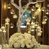 Hanging Glass Terrarium Globe Tea Light Candle Holder Succulents Vase Hanger for Home Wedding Party Indoor Outdoor Decor 4