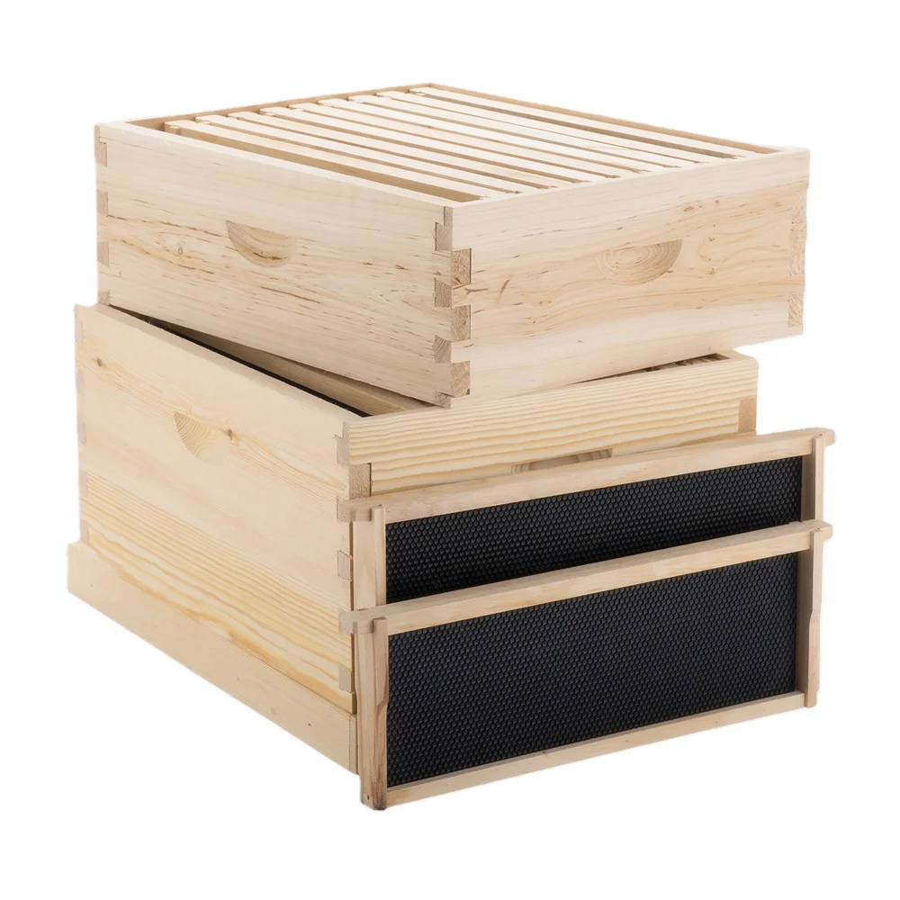 Opblazen Beeldhouwwerk gisteren Pine Wood Box Beehive Langstroth Bee Hive - Boxes - AliExpress
