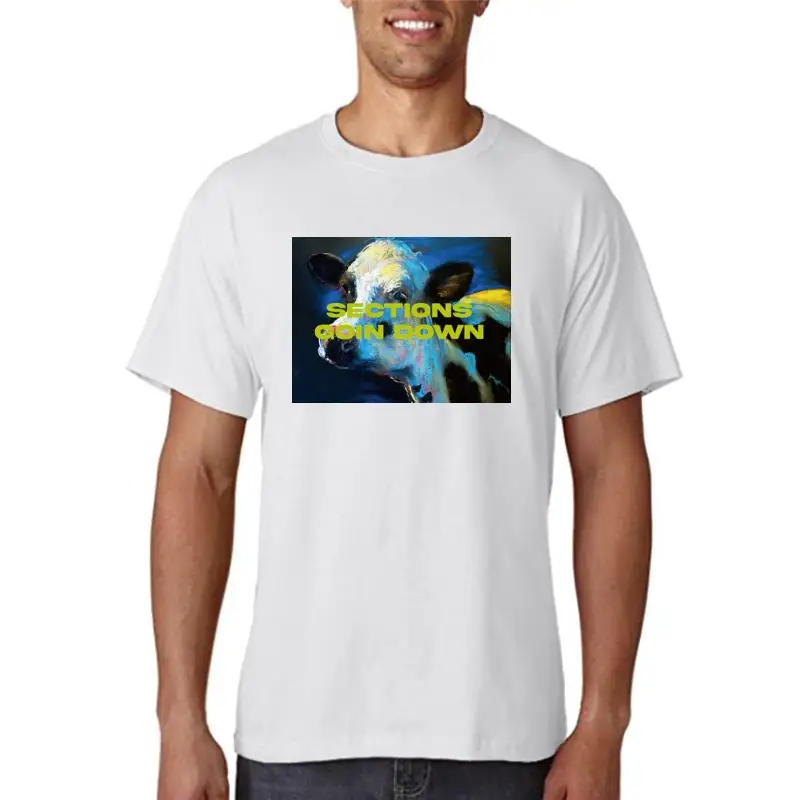 

Название: мужская футболка в стиле панк-рок, уличная одежда, в стиле хип-хоп, с коровьим коротким рукавом, Мужская готическая одежда, летняя мода, топ 2022