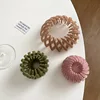 Ponytail Hair Rings Clips Hair Clips Women Bird Nest Shaped Hair Hairpin Simple Magic Lazy Braider Tool Women Hair Accessories 2