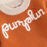 Toddler Baby Halloween Sweaters Long Sleeve Round Neck Ghost/Letter Embroidery Knit Tops Sweatshirts 5